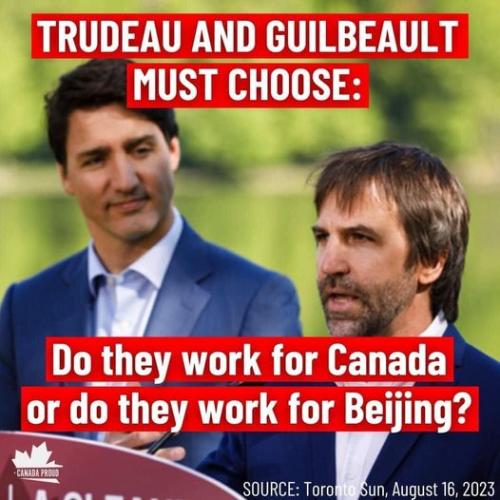 who do you work for