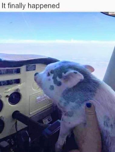 366381992_318636510551217_3615223897352055194_n