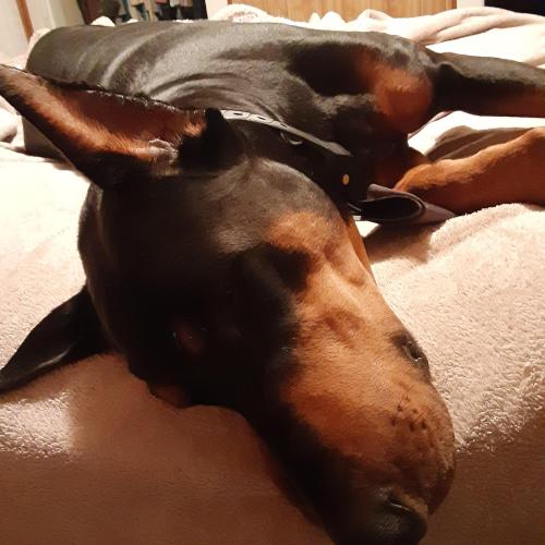 IMG_20230814_193538_674