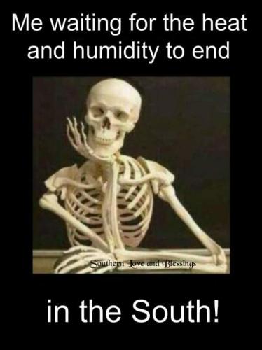 FB_IMG_1692129615078
