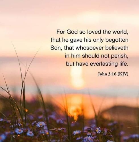 8f5eeaf8-9d11-4756-83ad-a7c3e7368370