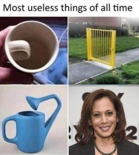 FB_IMG_1691013387303