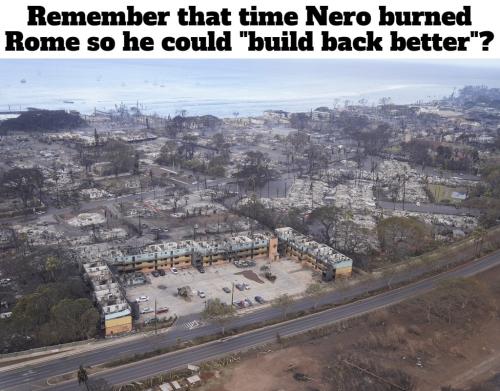 Remember that time Nero burned Rome so he could build back better