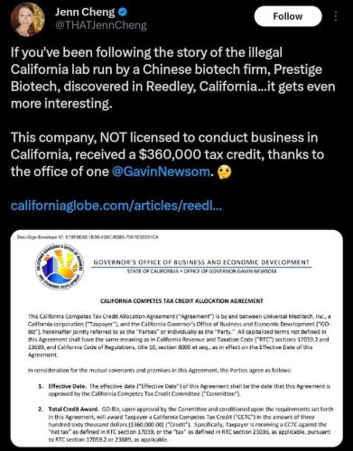 FB_IMG_1691632501066