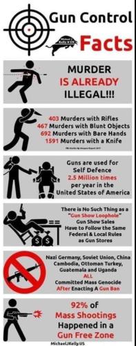 gun control FACTS