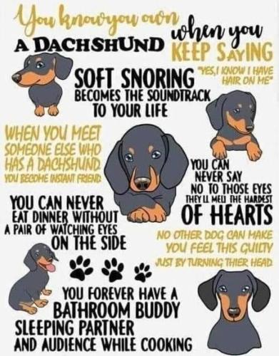FB_IMG_1691808906880