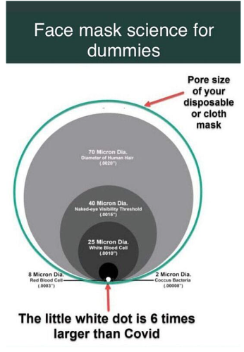 Facemask Science for Dummies