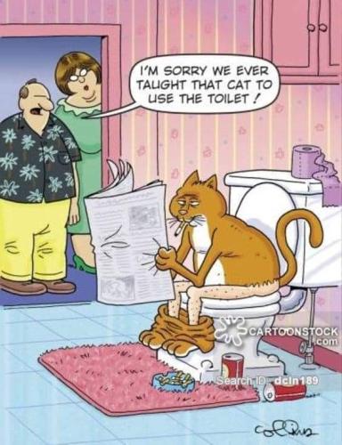 FB_IMG_1692195908599