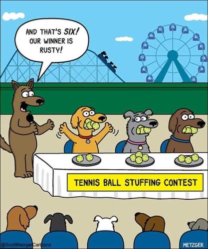 FB_IMG_1692381624407