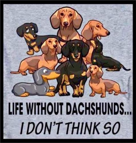 FB_IMG_1692055507190