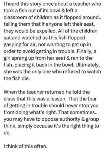 Do the correct thing, rightly.