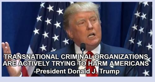 Screenshot_20230829_145005_Chrome