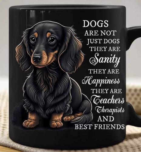 FB_IMG_1691808676528