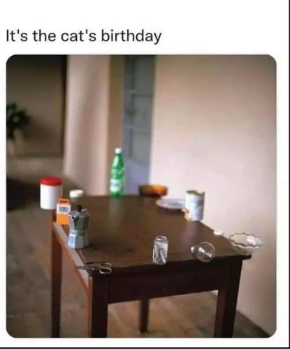 cats birthday