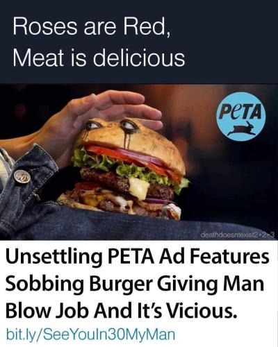 FB_IMG_1692641927154