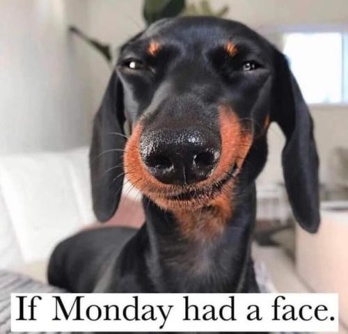 FB_IMG_1691633705999