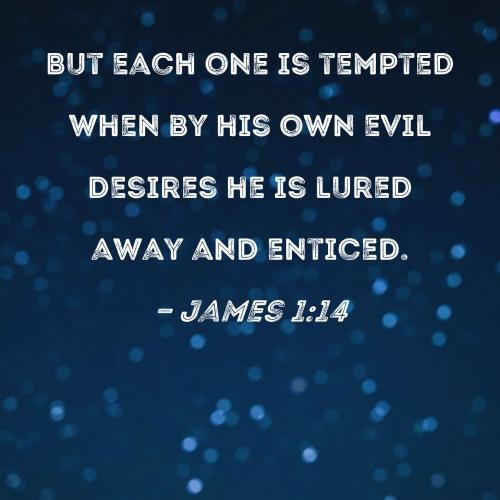 James 1_14