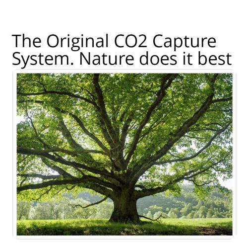 CO2 Capture System