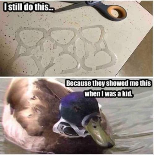 362275109_301857509080781_2474503792050244568_n