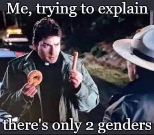 explaining_only2genders