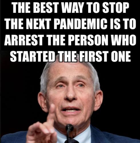 How to stop pandemics