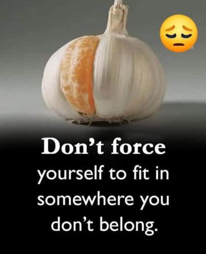 11ac3018-ed86-4340-936c-137cec28b70e