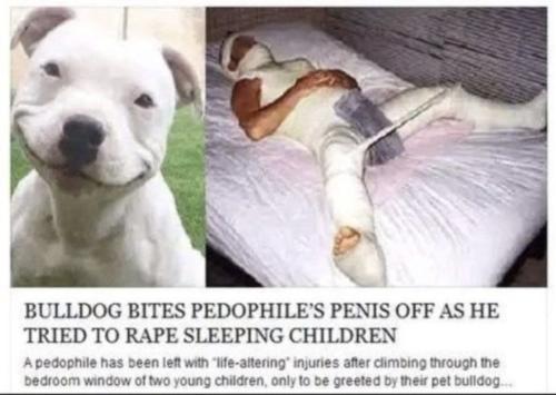 IMG_20230830_205117_276