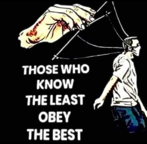 FB_IMG_1692376498812