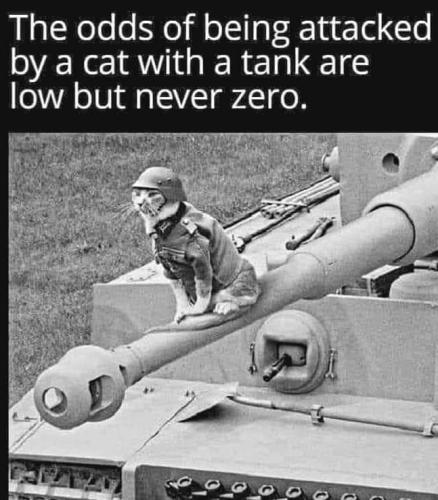 FB_IMG_1692566549975