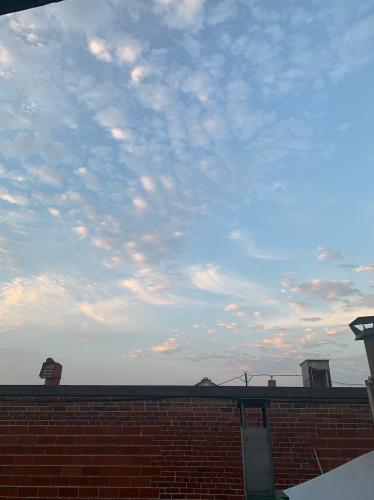 977C518B-2717-4A80-AABE-ACD4E2CD9BC1