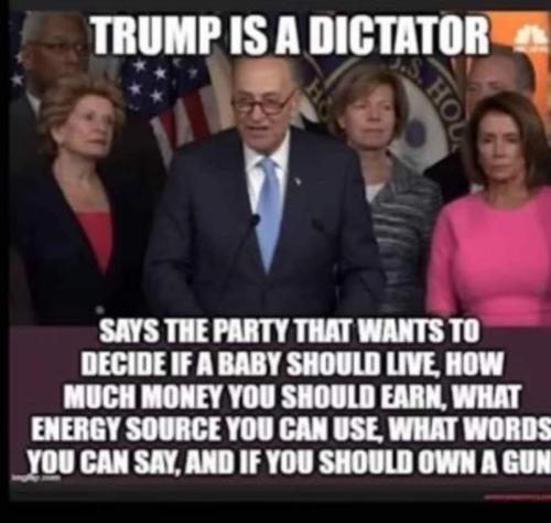 FB_IMG_1691713155256