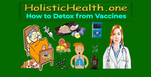 ! HolisticHealth.one - How to Detox from Vaccines