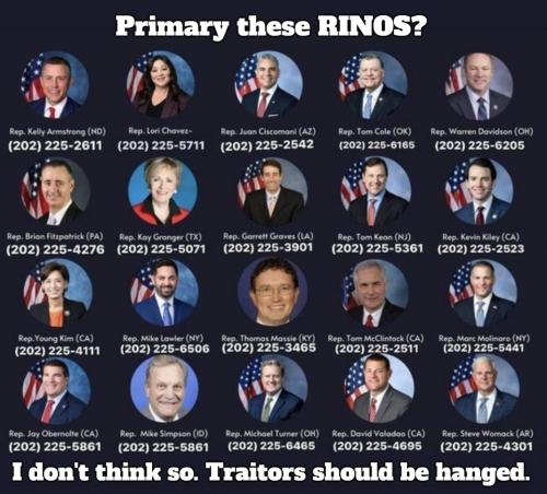 Primary these RINOS 960px