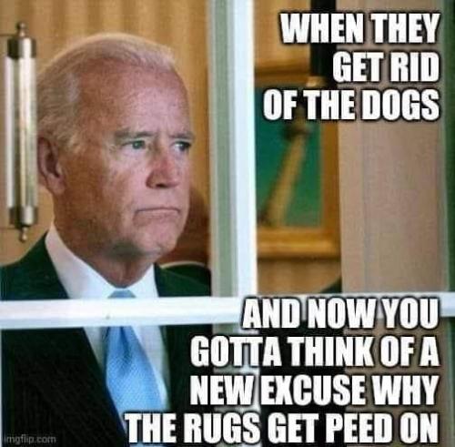 FB_IMG_1691952974135