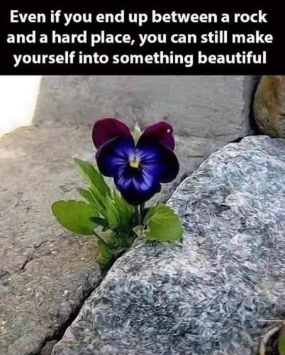 FB_IMG_1692103774595