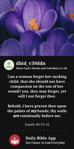 2023-08-011690946916486