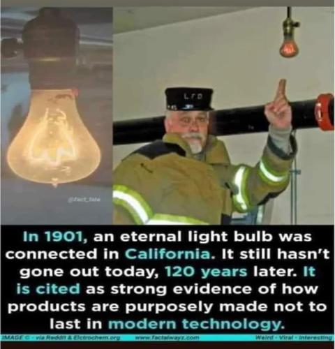 ba946bab034a993ef8337cac3627c310_768x0