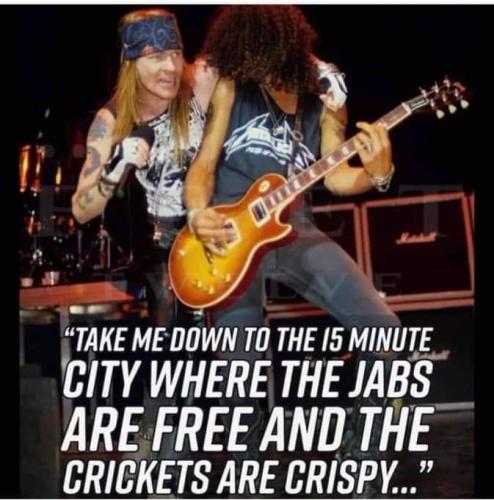 crickets are crispy