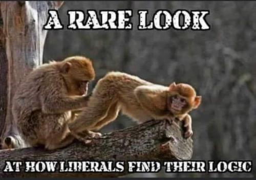 FB_IMG_1692380932896