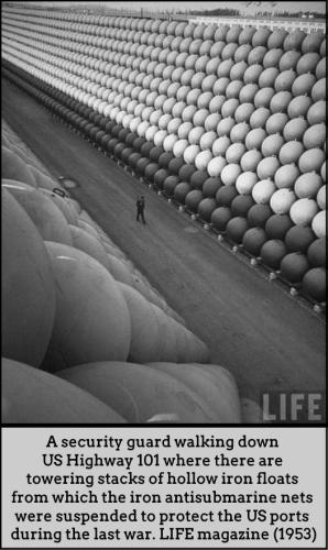 364200237_673868654790492_1428793590872414396_n