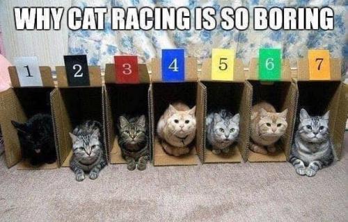 363391924_3651478598429031_7134950423884553495_n