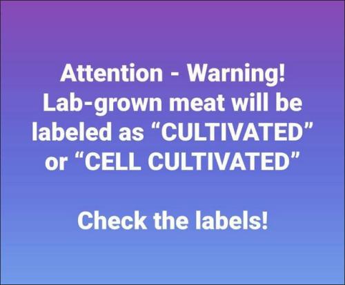 lab-grown meat00