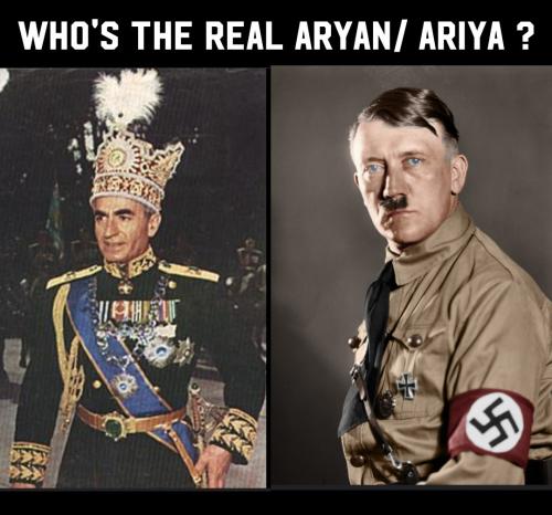 Collage 2023-08-31 17_22_39