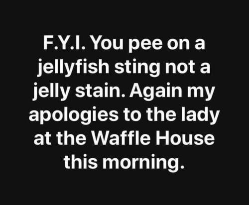 FB_IMG_1692612232284