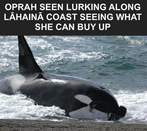 23:35:54 GMT-0400 (Eastern Daylight Time).image