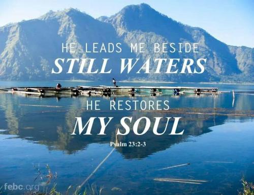 1f8c9d8deb35924b58c8ffcb155237fe