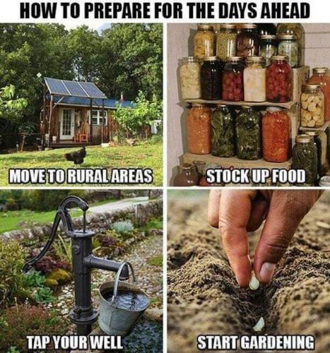 FB_IMG_1693036170349