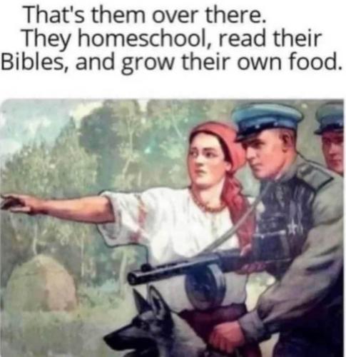 photo_2023-08-15_14-56-22