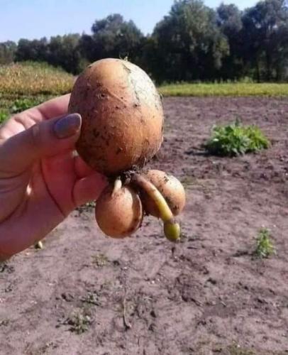 0000000000000000000000000000000000000000000000000000000000000000000000000000000000000000000000000000000000000000000000000000000000000000000000000000000000000000000000000000000000000000000000000000000000nhyuoil