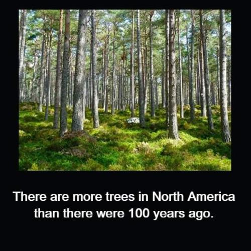 FB_IMG_1693401527056